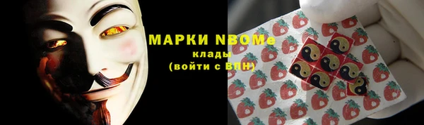 прущие грибы Абинск