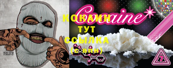 прущие грибы Абинск