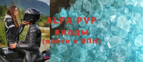 прущие грибы Абинск