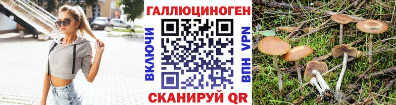 Псилоцибиновые грибы Psilocybe  Мегион 